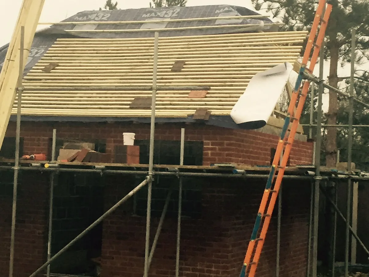 New roof timbers and scaffold in place